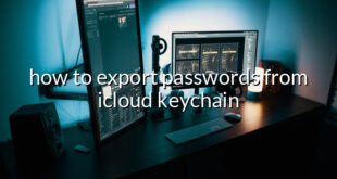 how to export passwords from icloud keychain