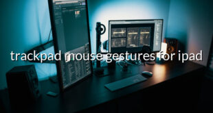 trackpad mouse gestures for ipad