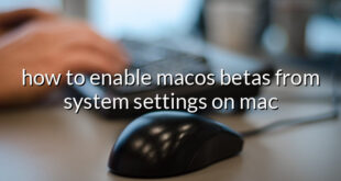 how to enable macos betas from system settings on mac