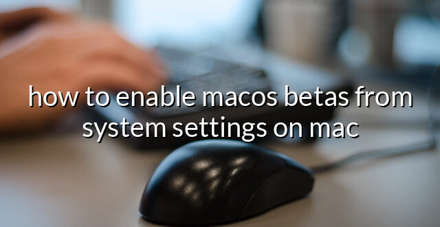 how to enable macos betas from system settings on mac