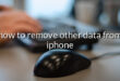 how to remove other data from iphone