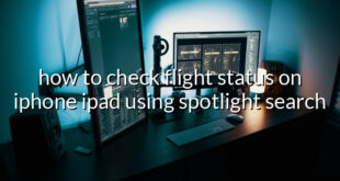 how to check flight status on iphone ipad using spotlight search