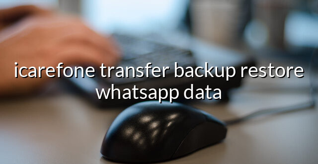 icarefone transfer backup restore whatsapp data